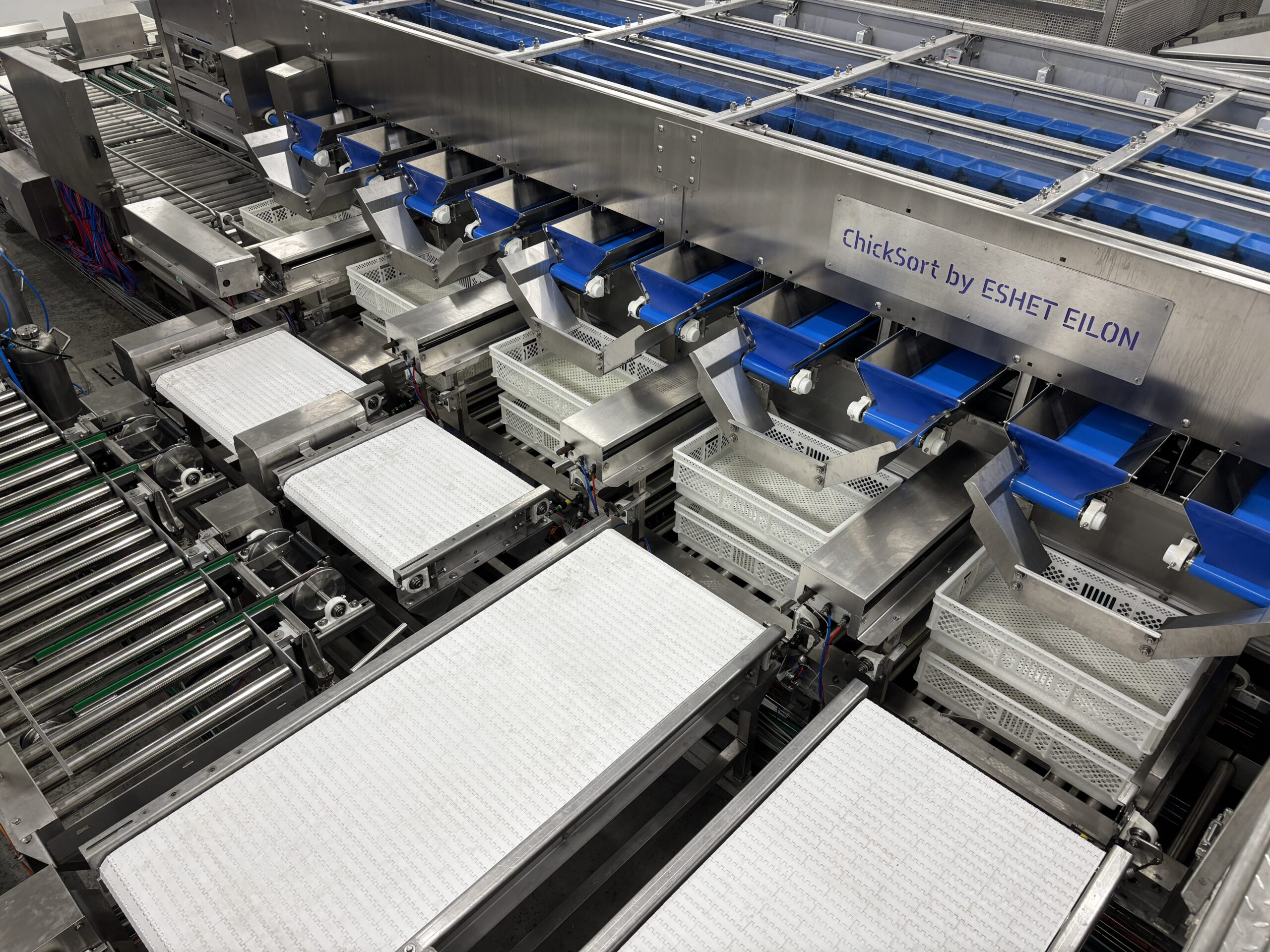 ChickSort automated day-old chick sorting system