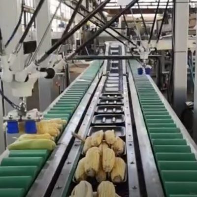 corn